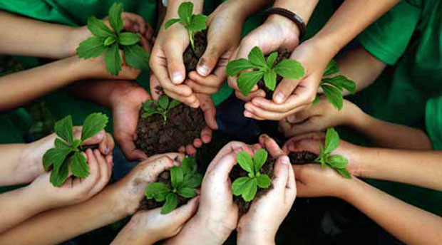 Promoting Environmental Education for Early and Primary Student in Indonesia 