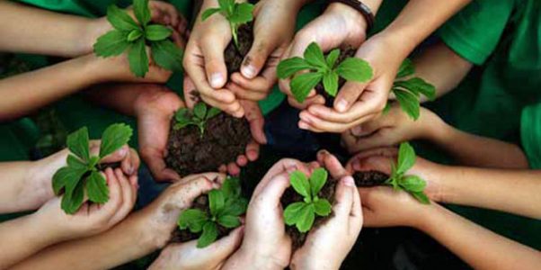 Promoting Environmental Education for Early and Primary Student in Indonesia 