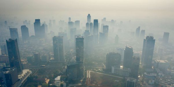 Cross-Sector Collaboration to Protect ALPHA Generation From Air Pollution Risk in Jakarta